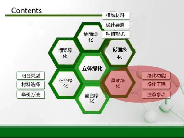 立體綠化規(guī)劃圖--屋頂綠化